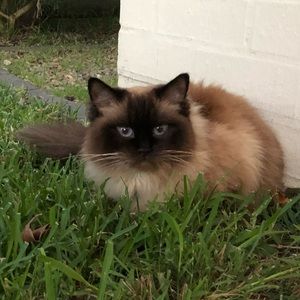 Meet your Posher, Joshua